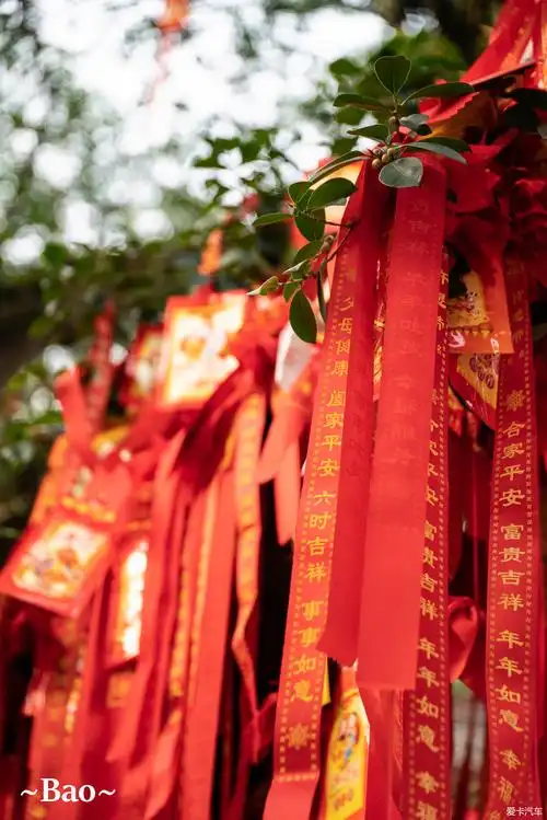 许愿树上挂满了祈求平安幸福的缎带,大家的心愿其实都离不开本质.
