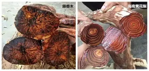 如何辨别藤香木与海南黄花梨让小编来教您吧