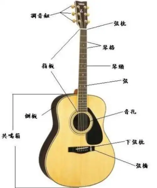 木吉他 各部件叫什么,请附图解