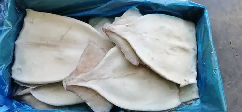 鱿鱼片鱿鱼 烧烤火爆 预制菜网店 源头厂批发 电商社区团购 自助