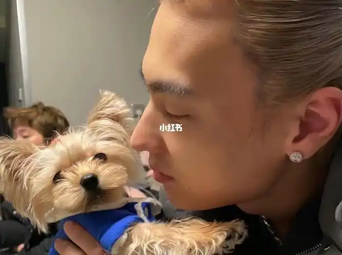 说唱  #中文说唱  #vava  #毛衍七vava  #ty#ty唐溢  #cdc  #帅哥