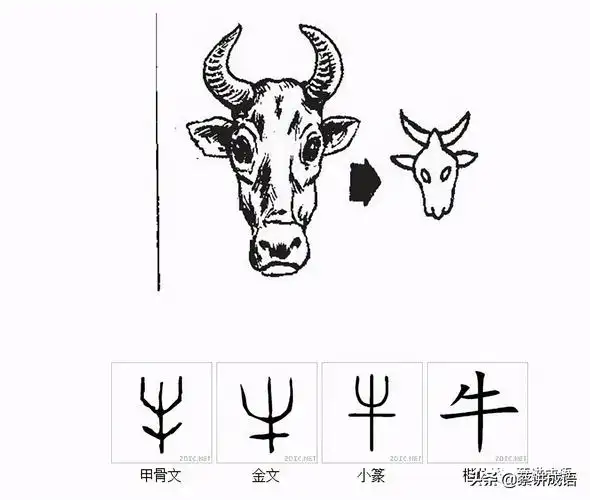 「汉字99解字」牛与鱼