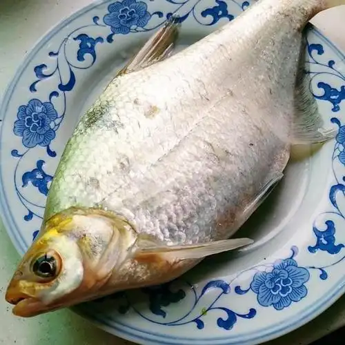 就来做这道高颜值的菜吧 原料:鳊鱼,料酒,姜,葱,米椒,蒸鱼汁,熟油