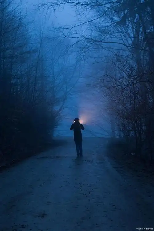 当一个人自恋的时候,孤独变成为自我的游戏