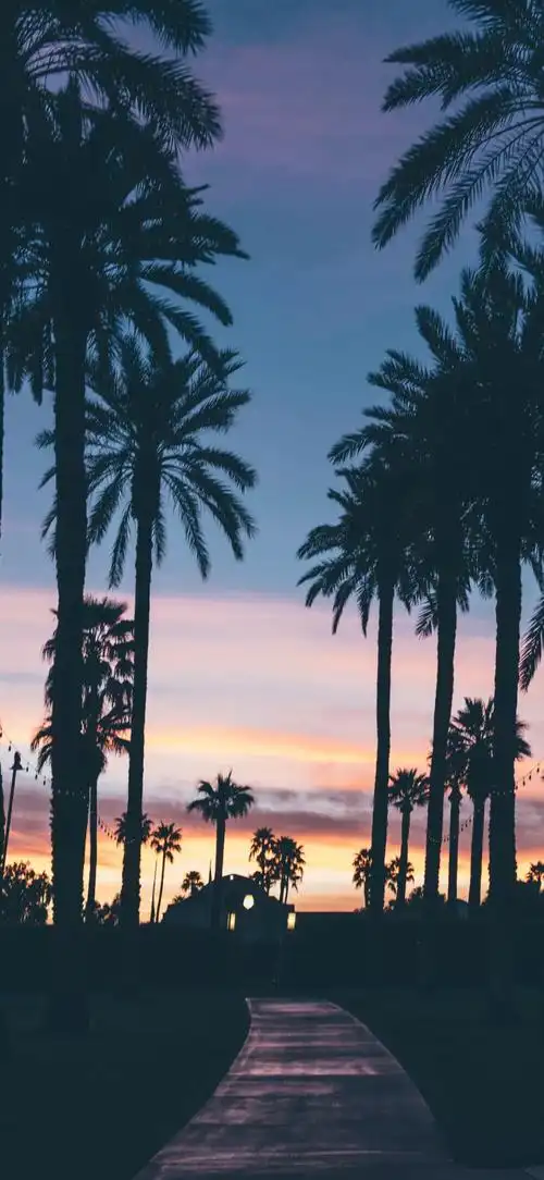 绝美的风景壁纸 浪漫无处不在