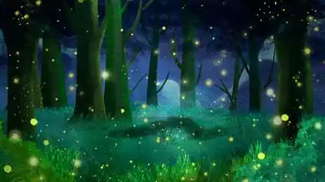 森林萤火虫广告背景, 浪漫, 森林, 手绘 背景图