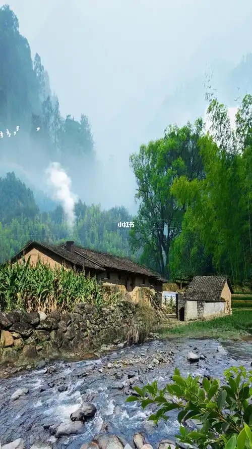 向往生活 #最美乡村风景 #农