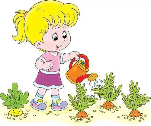 七绝·雏菊近日雨中栽