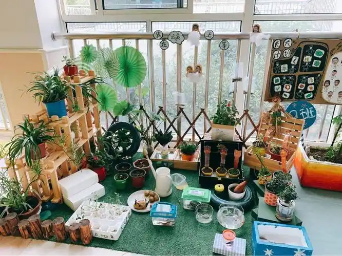 创意环创幼儿园春季植物角环境布置春日美景尽收眼底
