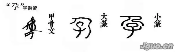 "孕"字源流甲骨文的"孕"字是个会意字.