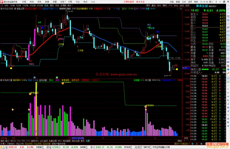 通达信彩色成交量形态强化版 牛股启动副图/选股预警 源码