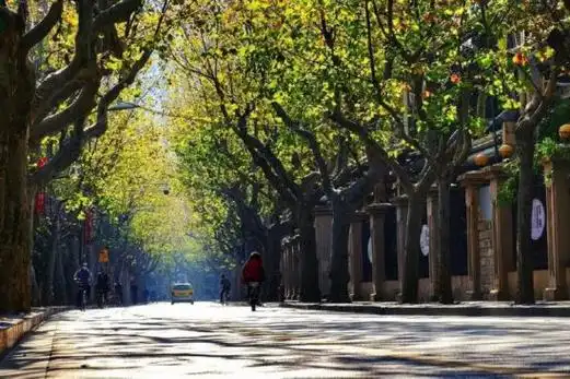 寻味思南路里的上海"旧时光"