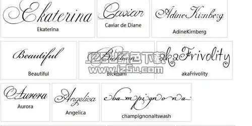 能将标准的英文字体快速的转换成各种好看又精美的花体字,花体字是