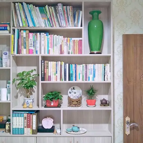 家里有一个小小的书柜
