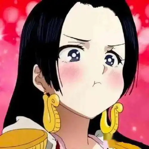 海贼王中目前出场的女生谁是你的女神看名气还是看容貌