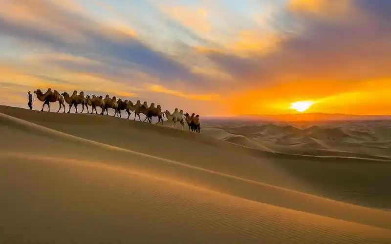 沙漠自然风光图片