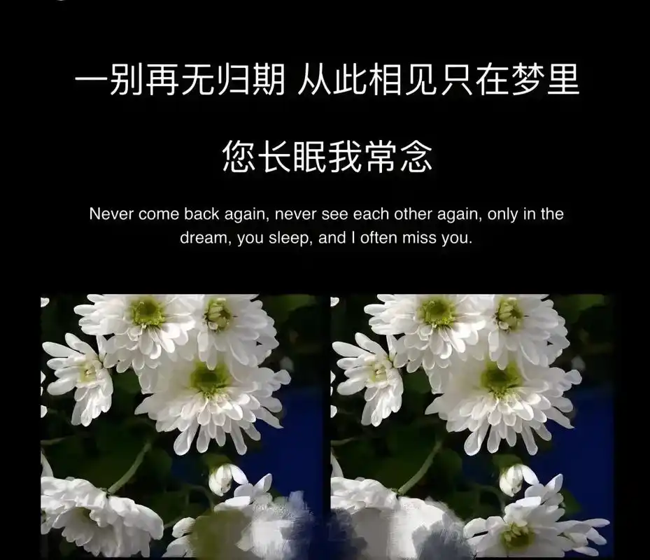 姥姥一路走好!01.姥姥走了,世间再无疼爱我的姥姥了 我于2 - 抖音