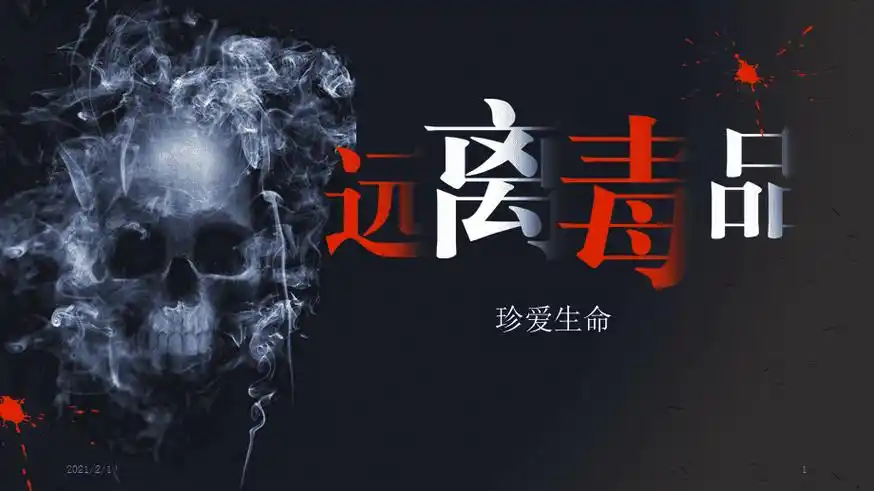 简约禁毒教育ppt模板课件