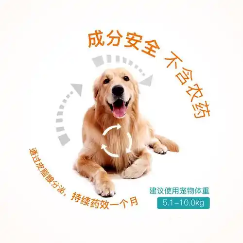 博来恩2.5kg内小型猫咪体内外驱虫一体滴剂去跳蚤单支宠物驱虫药