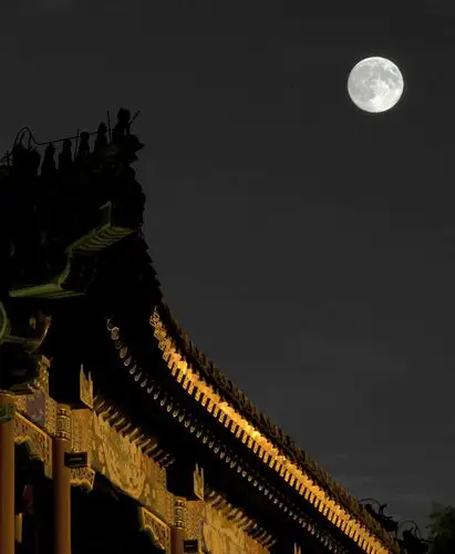 八月十五月儿圆 学习多曝拍月亮