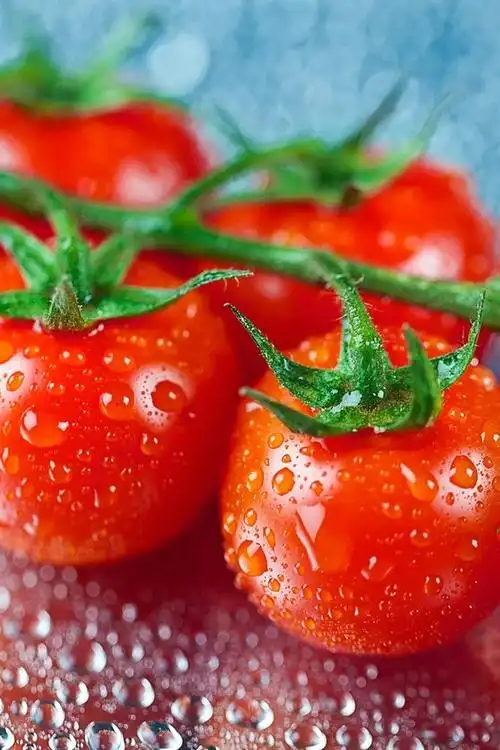 新鲜水果,西红柿,水滴 iphone 壁纸