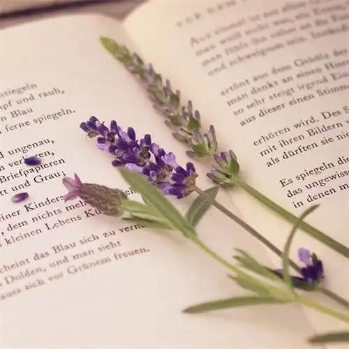 简单而走心的图片头像 高清好看独一无二唯美的图片头像_微信头像