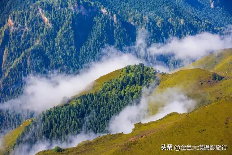 秘境甘南卓尼大峪沟,最能治愈人心的便是这世间的绝美风景_摄影_快门