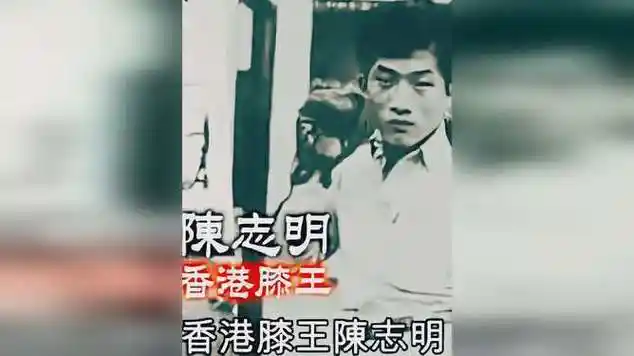 新义安"香港膝王"陈志明,刘德华为其拍戏,到向华强公司扫射|古典音乐