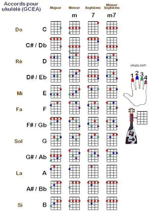 如何快速地自学ukulele