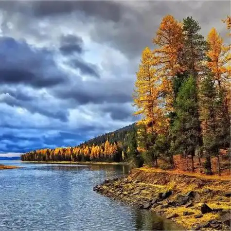 2022年吉祥好运图片风景头像