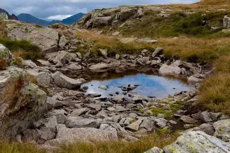 草地上的水照片