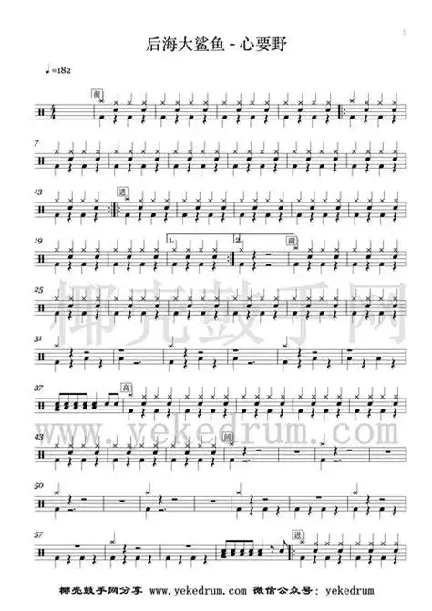 后海大鲨鱼心要野歌词后海大鲨鱼猛犸歌词2022已更新今日资讯