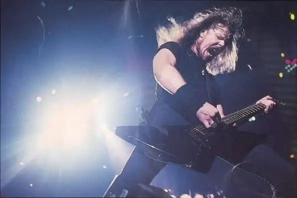 重金属(heavy metal)