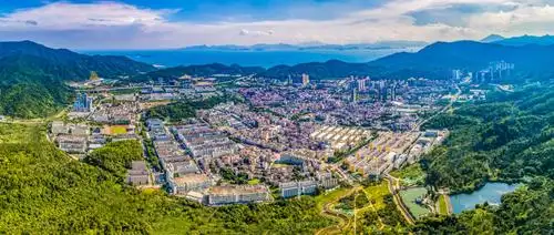 葵涌党工委2021年工作报告干货来了