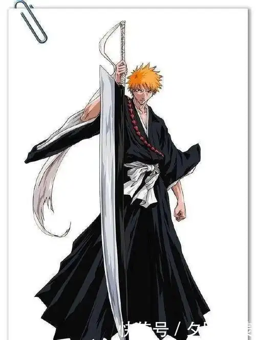 一般死神只有始解和卍解两种姿态,而主角黑崎一护不同,他有着很多种