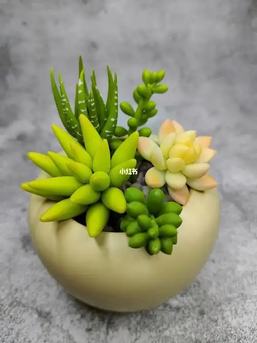 手工黏土多肉diy_手工制作_粘土_多肉植物_diy_兴趣爱好_手工