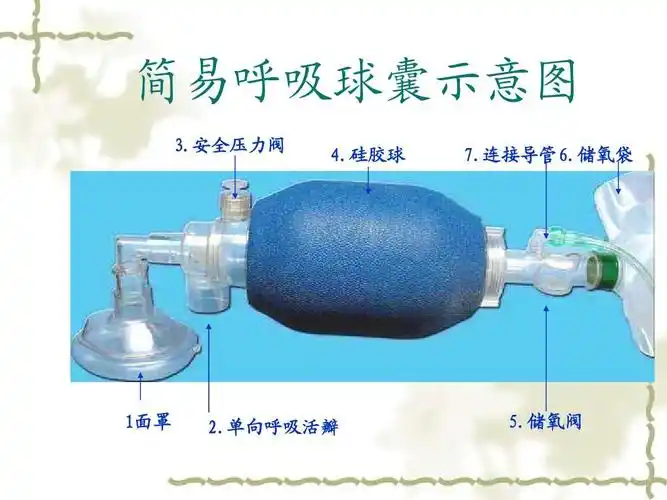 简易呼吸囊的操作ppt