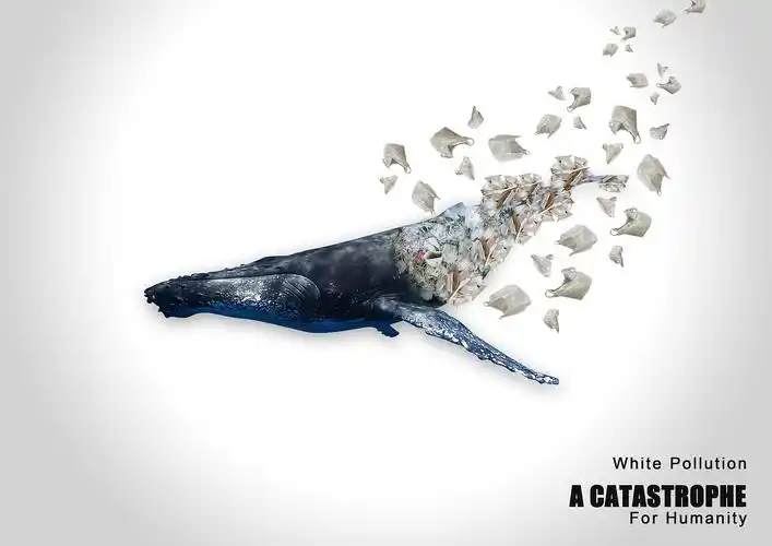 海洋公益海报设计|平面|海报|龙女夭夭 - 原创作品 - 站酷 (zcool)