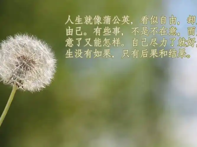 人生感悟   #爱情   #情感   #蒲公英的约定   #蒲公英