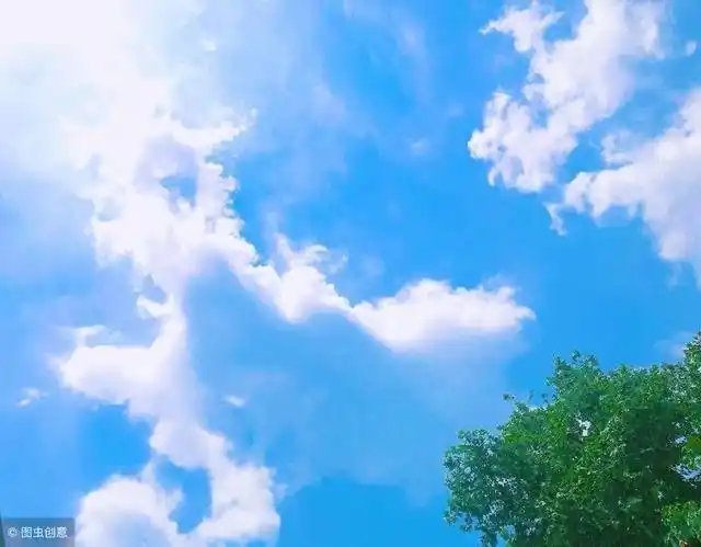 发朋友圈会被秒赞的句子,句句经典,阳光,有内涵