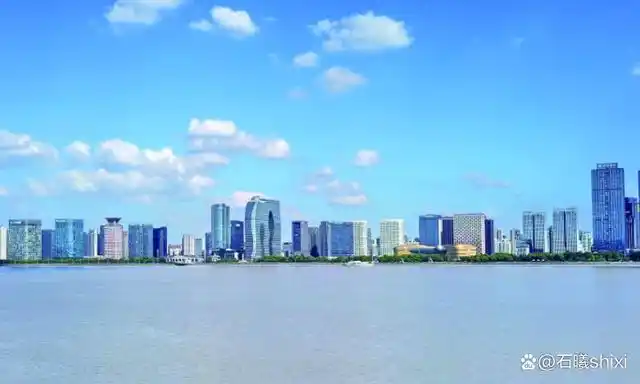 杭州滨江区国际滨概况