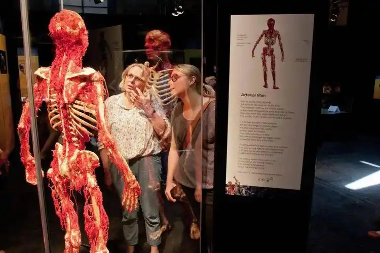 worlds, credits joseph carlucci不同于普遍概念里用于研究的标本,"