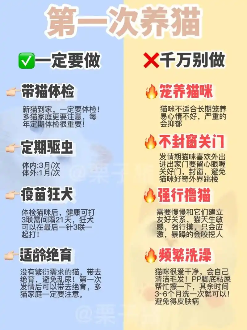 第一次养猫|哪些能做/千万别做?新手第一次养猫,为了新猫到家 - 抖音