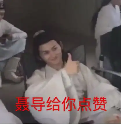 陈情令:陈情男团搞笑表情包,图三金凌弱小又无助!