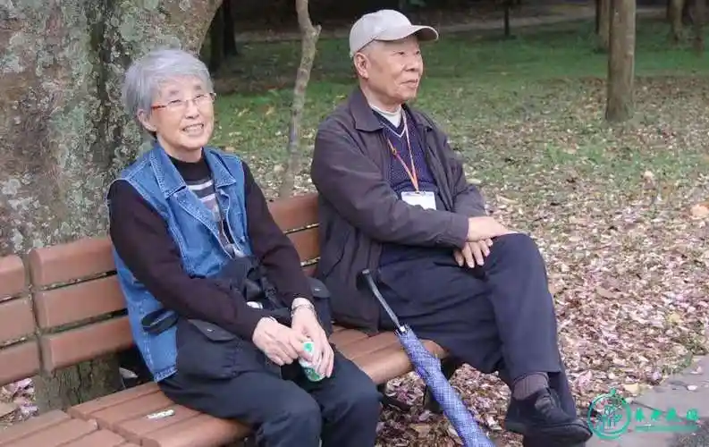 退休老人的生活