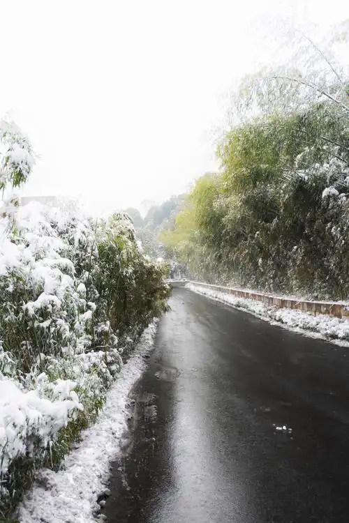 大雪纷飞降涵田