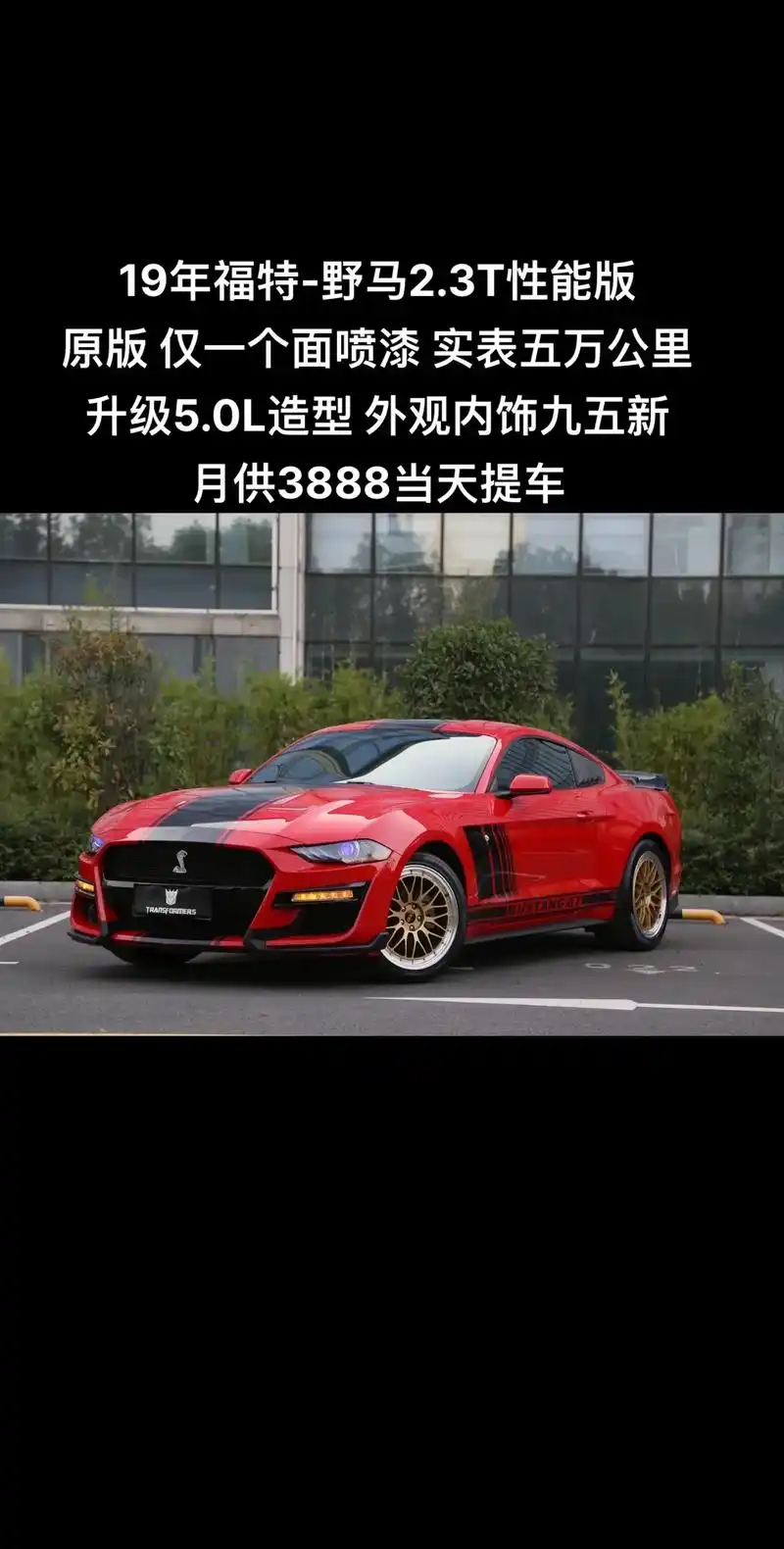19年福特-野马2.3t性能版.[礼物]新货到店:2019 - 抖音