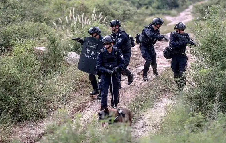 天津特警开展山地实战大练兵_央广网