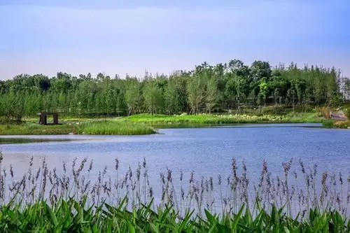 天府中央公园成都公园居住40版已来