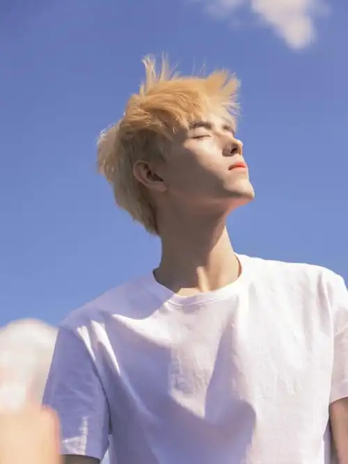 漫改剧男主角的脸有了迟到的金发陈飞宇